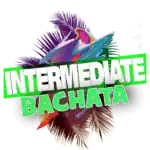 Bachata intermediate totaldcanse Breda